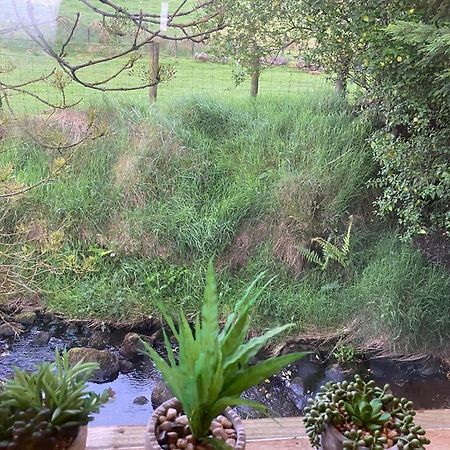 Fallburn Hideaway Martinstown 外观 照片